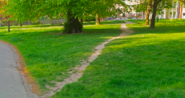 path in park